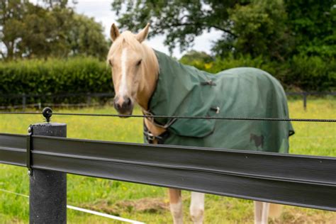 horse electric fence box|best electric fencing for horses.